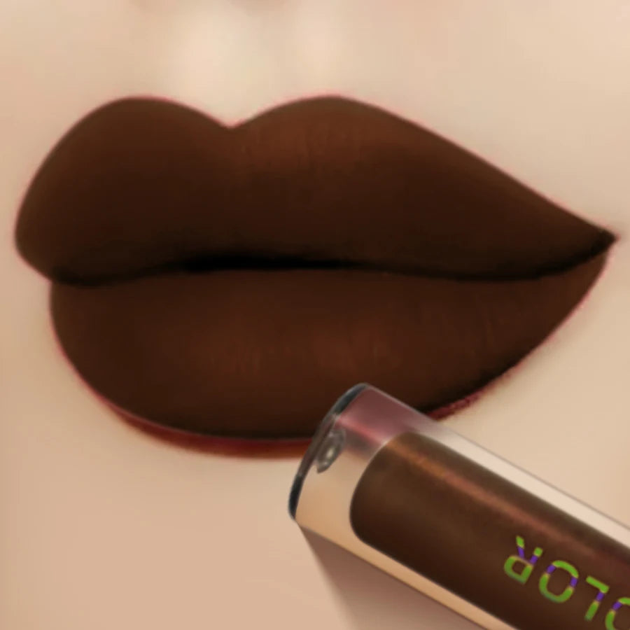 Richly Pigmented Matte Velvet Brown Lip Gloss